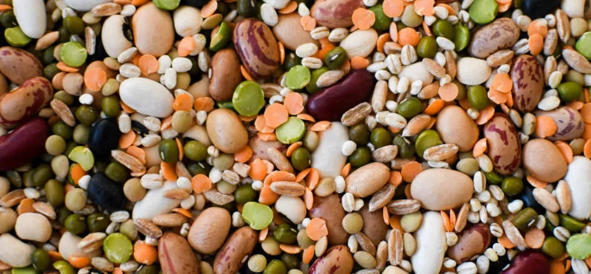 Získavanie ingrediencií: Kompletný sprievodca