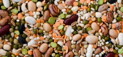 Abastecimiento de ingredientes: Guía definitiva