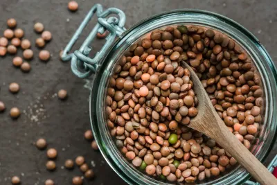 Vrste Leča: rdeča, zelena, rjava, rumena & črna v primerjavi