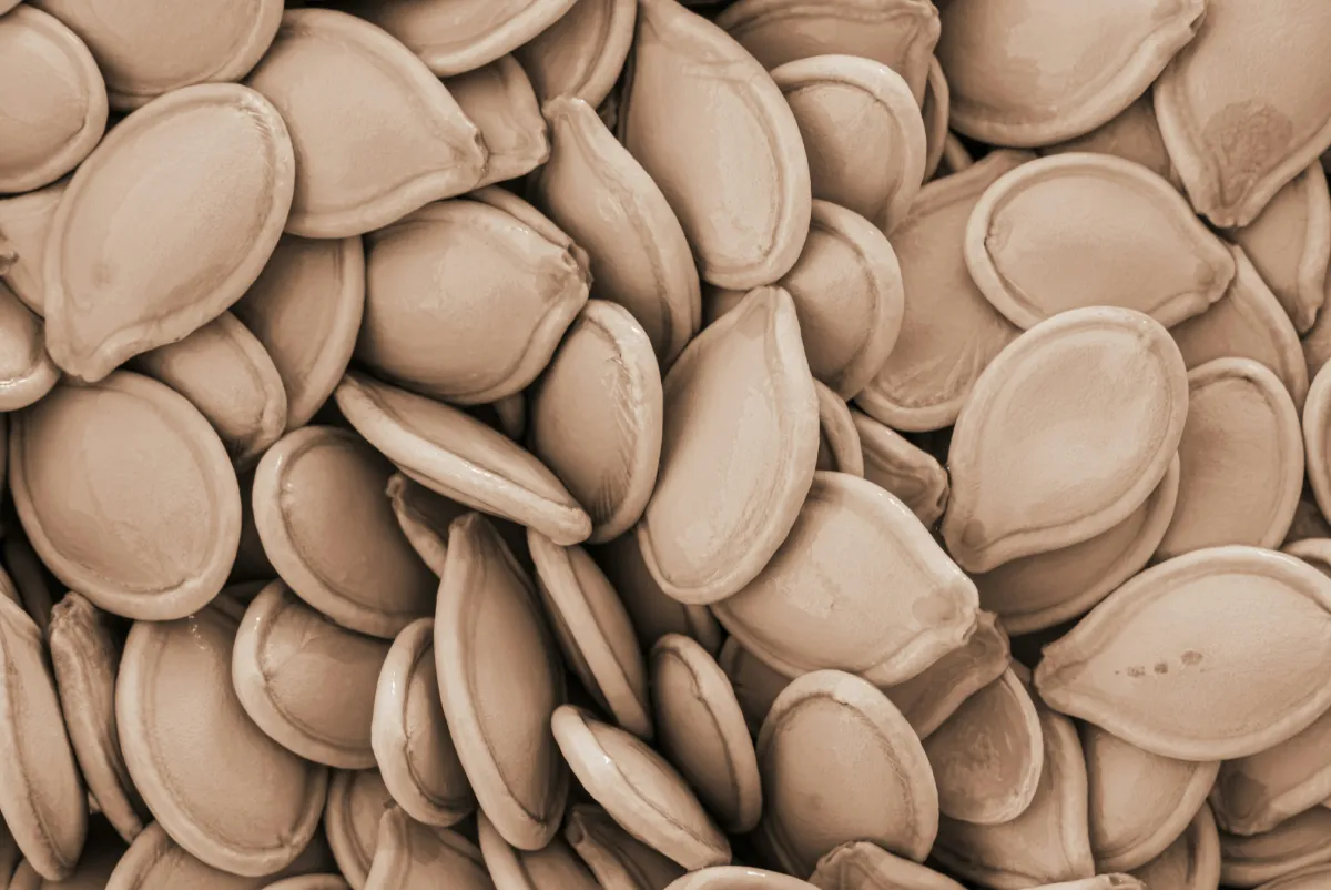 Types of Pumpkin Seeds: 4 Types Compared
