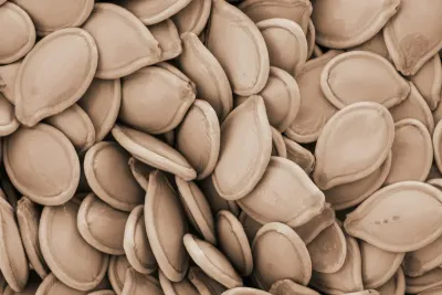 Types of Pumpkin Seeds: 4 Types Compared