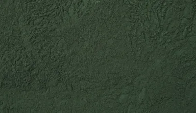 Rodzaje Spiruliny: Niebieska vs Zielona, Hawajska vs Zwykła