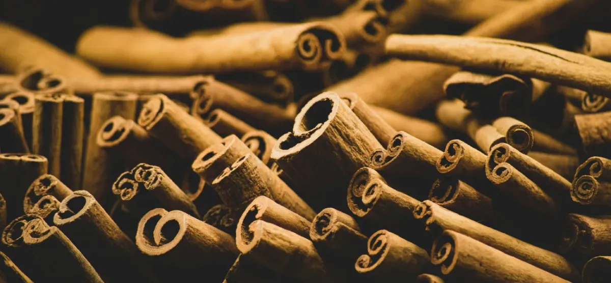 Cejlónska Škorica mletá vs kasijová Škorica mletá