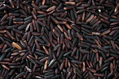 Svart ris vs Brunt ris vs Rött ris: Närings- och kommersiell jämförelse