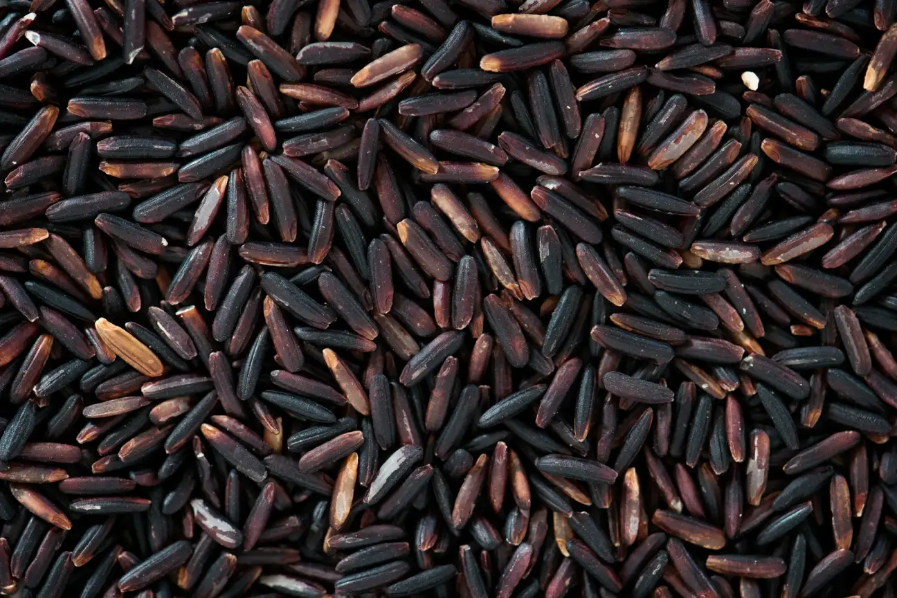 Melnie rīsi vs Brūnie rīsi pret Sarkanie rīsi: Uzturvērtība un komerciālais salīdzinājums