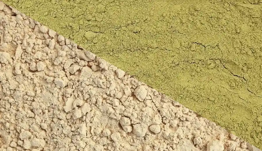 Hemp Protein vs Pea Protein: A Sourcing Guide for Food Manufacturers