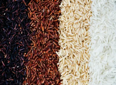 Types of Rice: Complete Guide to Varieties, Grains & Applications