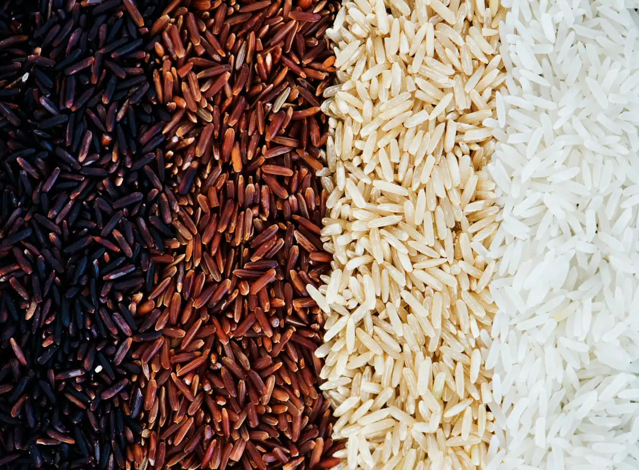 Rīsu veidi: Pilnīgs ceļvedis par šķirnēm, graudiem & pielietojumiem