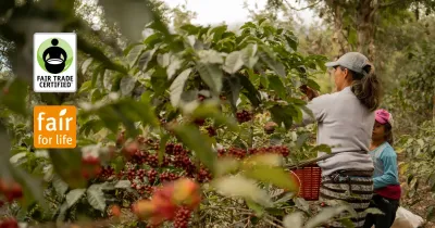 Certifikáty Fair Trade v potravinárskom priemysle