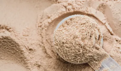 Plant Based Protein: Ultimate Guide