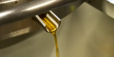 Expeller Pressed vs Cold Pressed Oil: What Food Manufacturers Need to Know