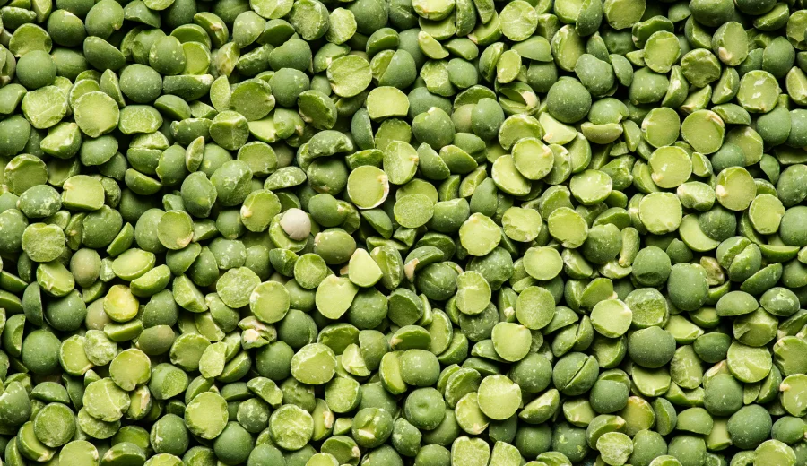 Green Lentils