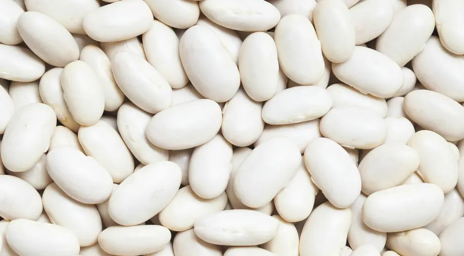 White Beans
