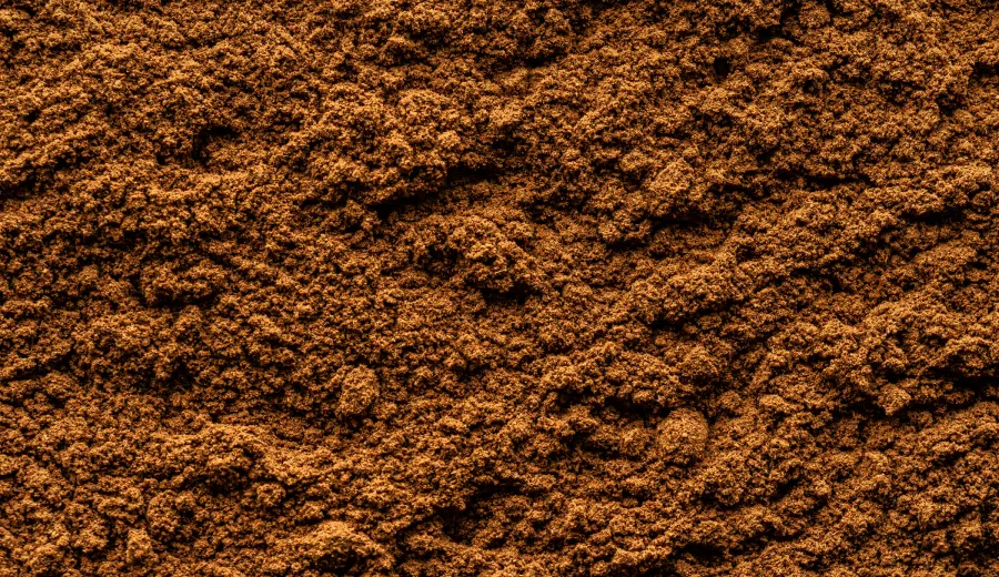 Guarana