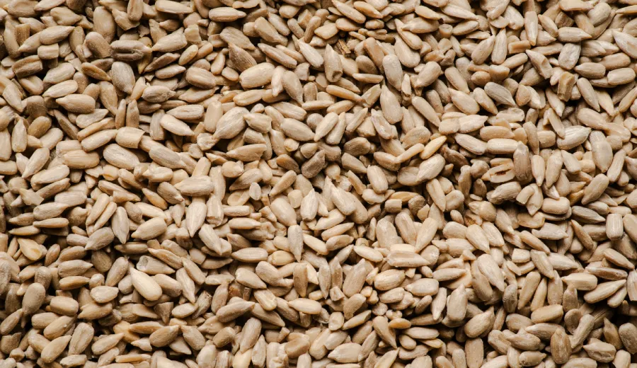 Slnečnicové semená