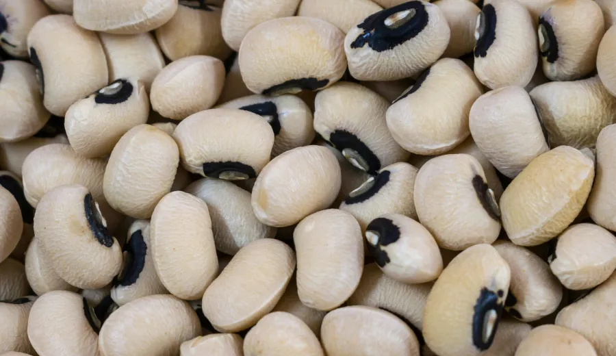 Cowpeas
