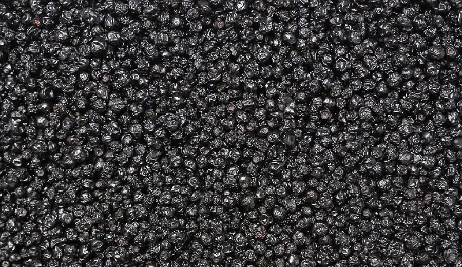 Sušené pestované čučoriedky