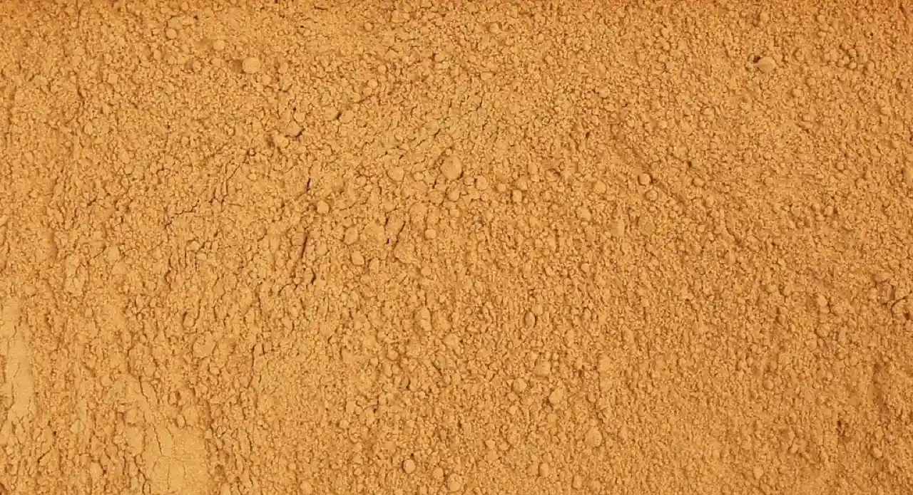 Szentjánoskenyér por