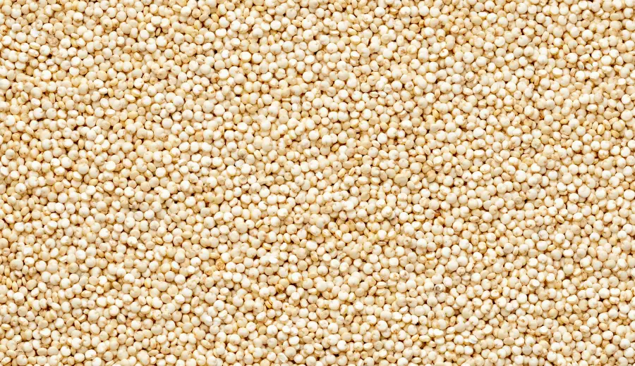 Quinoa