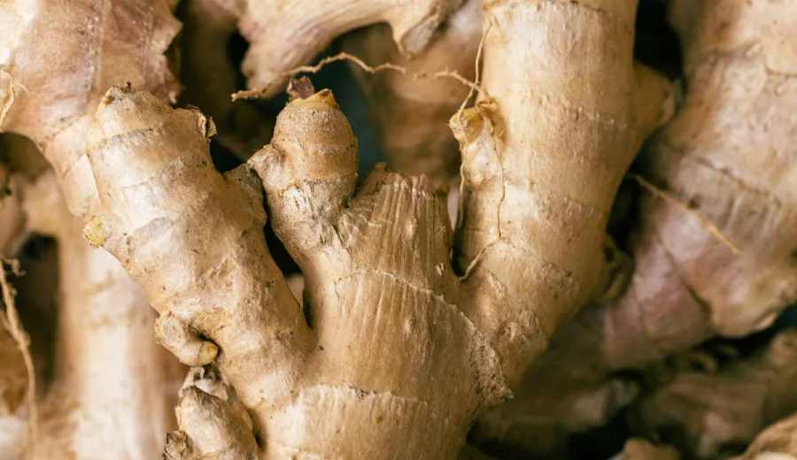 Zázvorový prášok