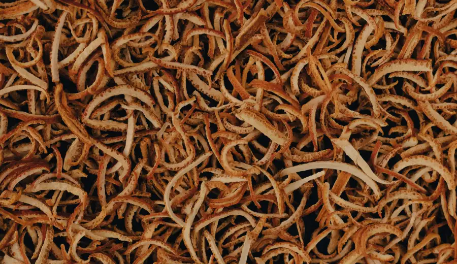 Sušená pomarančová kôra