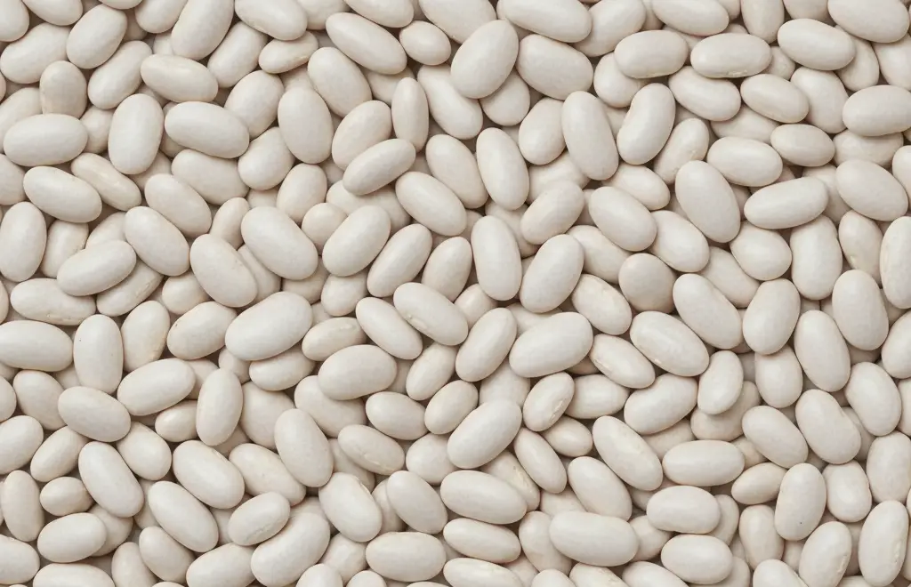 Hvide kidney Bønner (Cannellini)