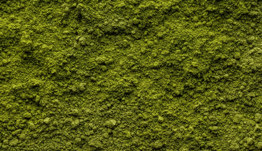 Pšeničná tráva prášok