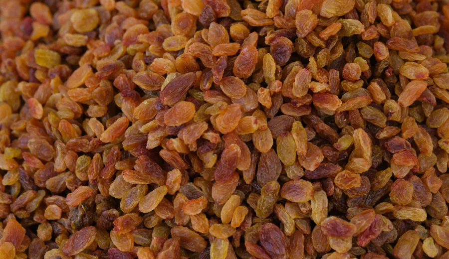 Raisin
