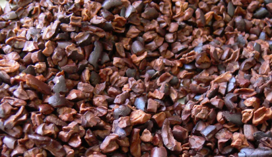 Cacao Nibs