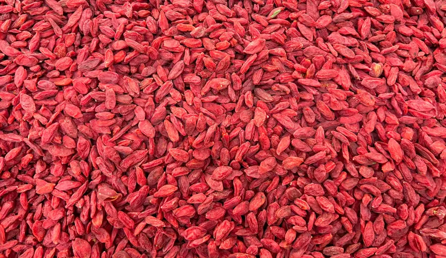 Goji jagode