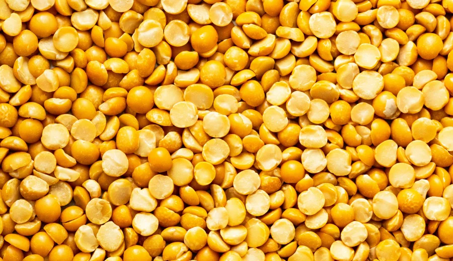 Yellow Lentils