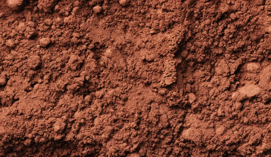 Cacao Powder
