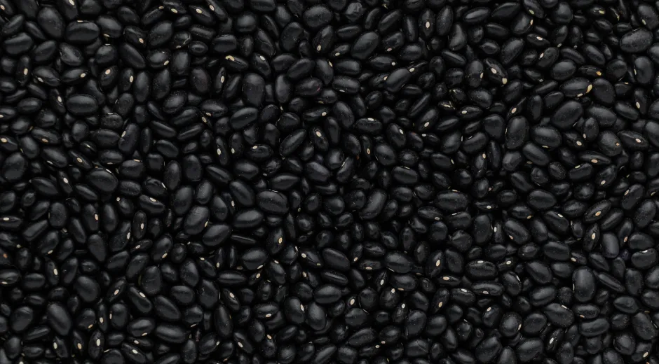 Black Beans