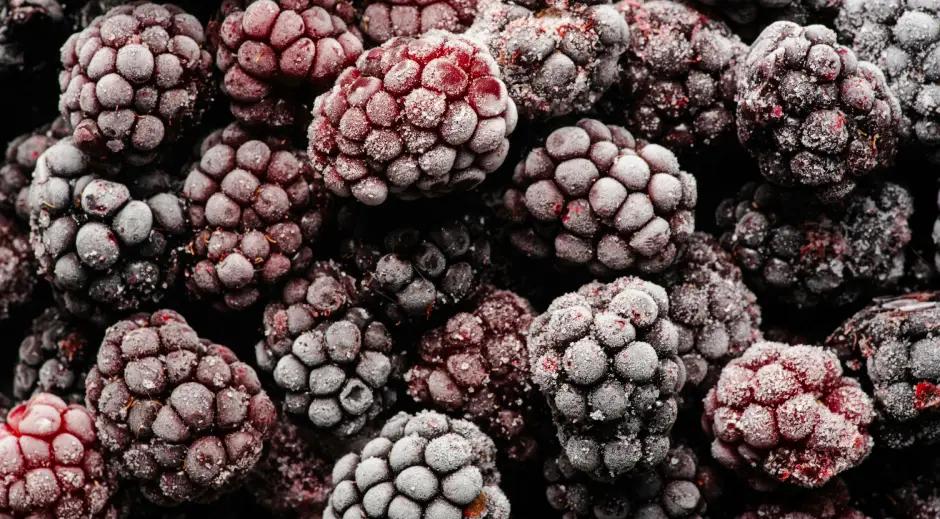 Gefriergetrocknete Brombeeren