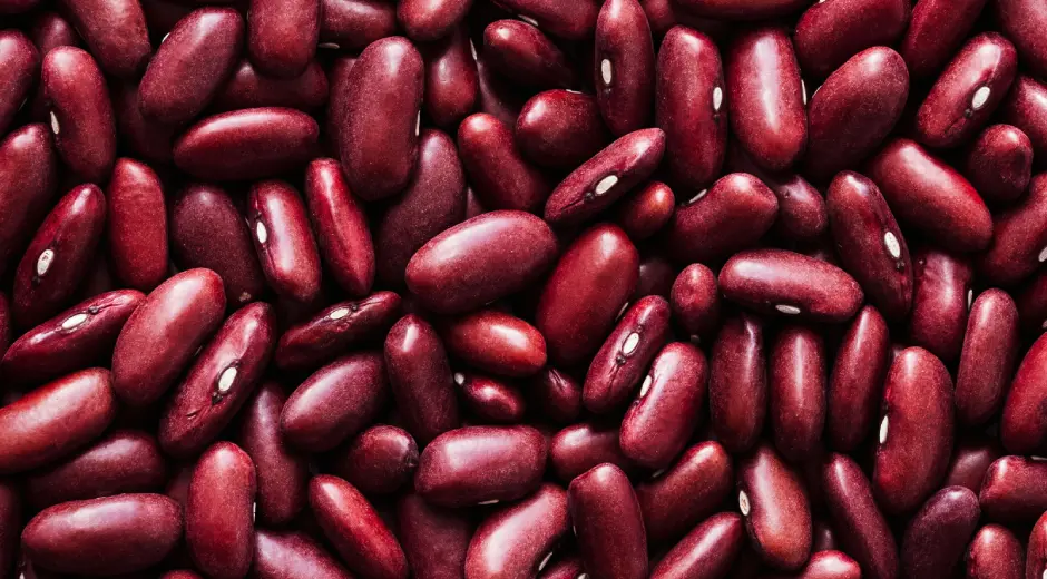 Red Kidney Beans