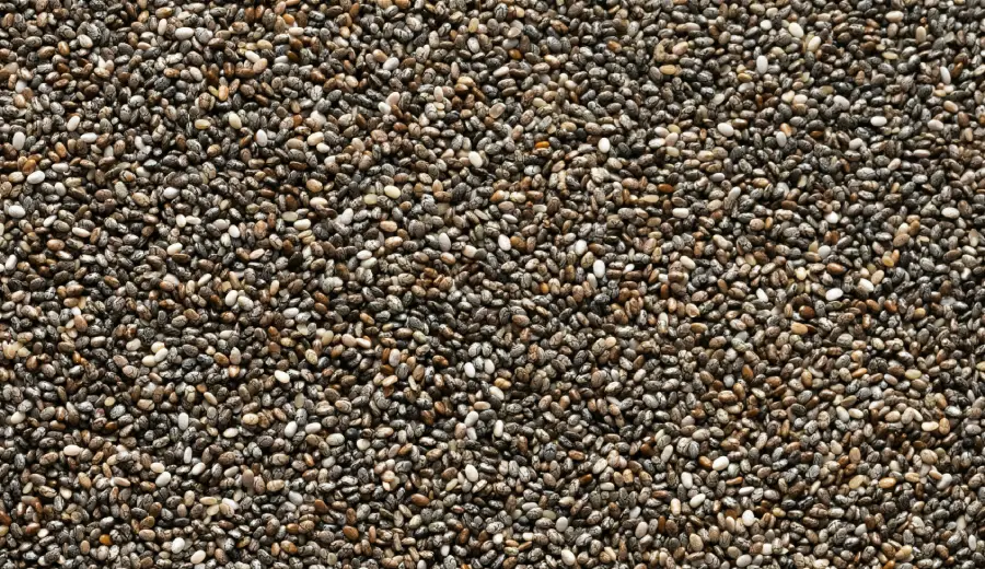 Chia