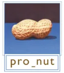 ProNut BV