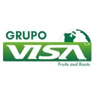 Grupo Visa