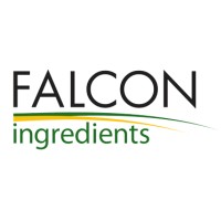 Falcon S.A.