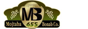Mojtaba Bonab Co.
