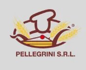Pellegrini S.r.l.