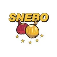 Snebo