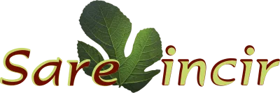 Sare İncir