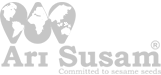 Ari Susam