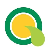 PIURANOS LEMONS GROUP