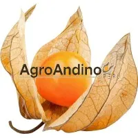 Agro Andino S.R.L.