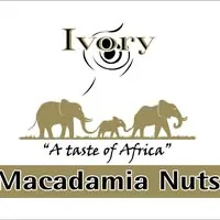 Ivory Macadamia