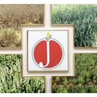 Jyot Overseas Pvt. Ltd.