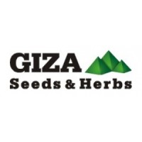 Giza Seeds & Herbs
