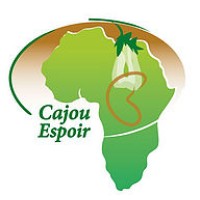 Cajou Espoir